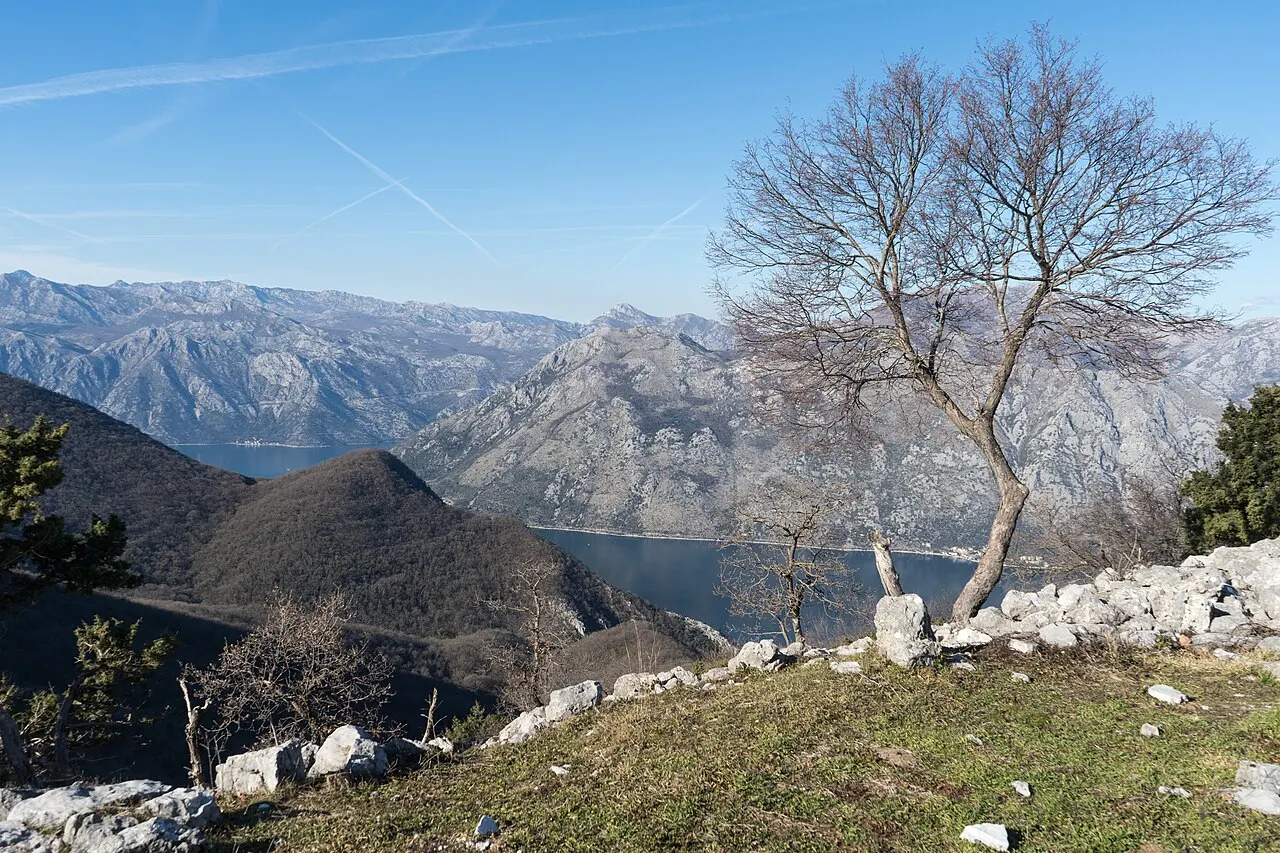 The long view down the Bay of Kotor from the Vrmac ridge, the bay channel winding between both mountainous shores