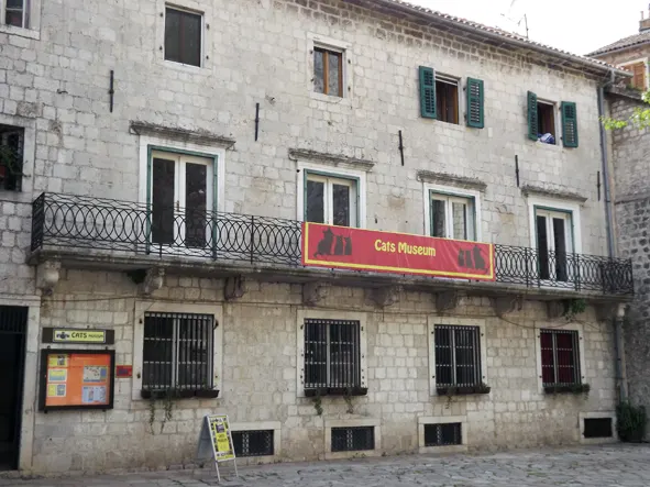 The Cats Museum of Kotor in a former monastery building in the Old Town, stone facade and balcony above the lane