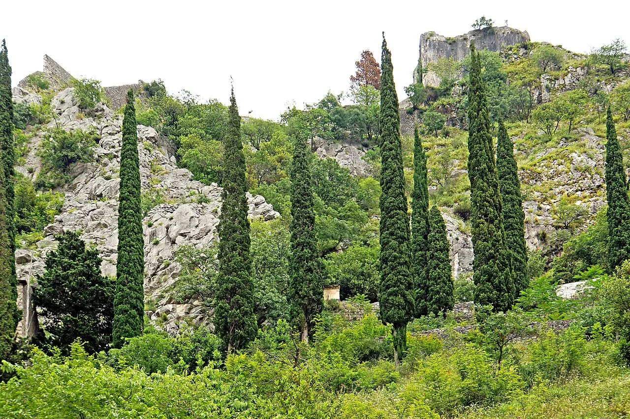 Kotor's city walls climbing the cliff above the Old Town roofs toward St John Fortress