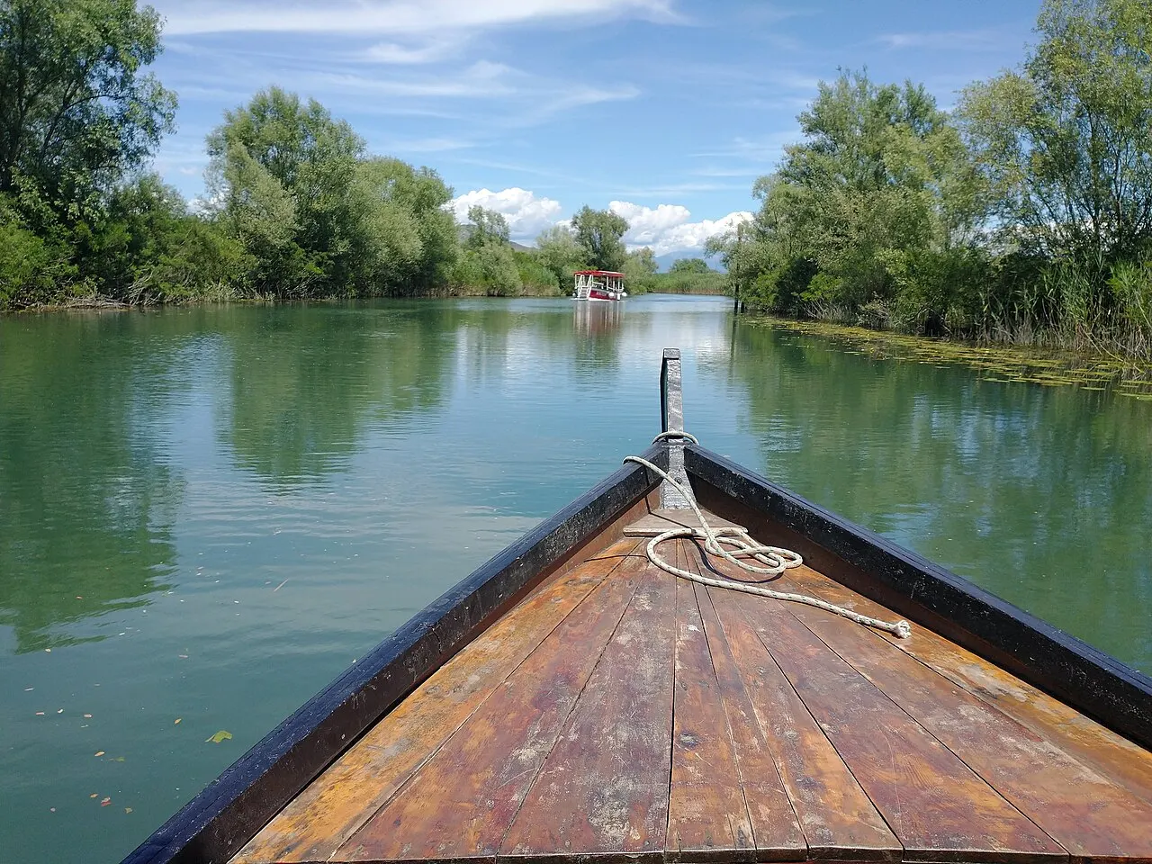A wooden boat gliding through a quiet green channel on Lake Skadar, reeds and trees lining the still water