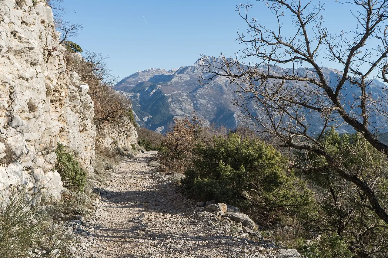 A hiking trail climbing through the wooded slopes of Vrmac Mountain above Kotor