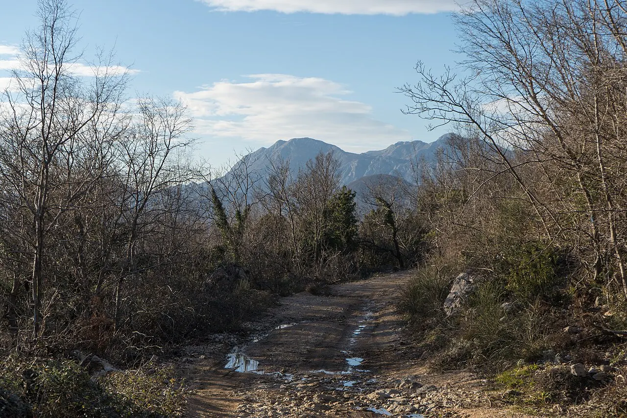 A quiet mountain road winding through the wooded hiking country on Vrmac